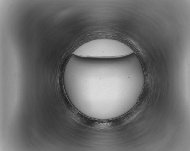 X0000116830217200912181101