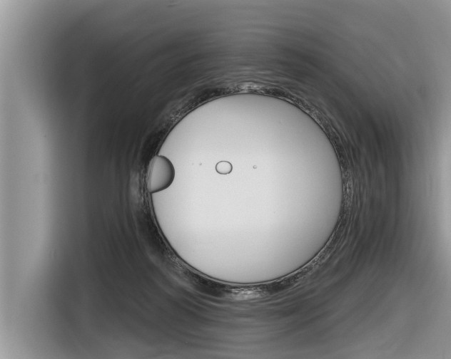 X0000116830218200912181101