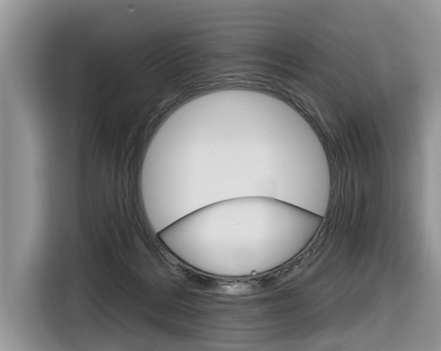 X0000116830220200912181101