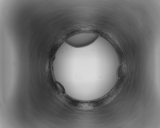 X0000116830221200912181101