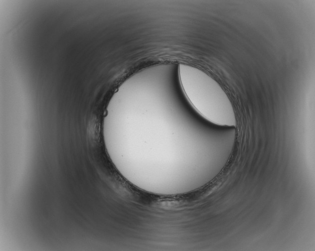 X0000116830228200912181100
