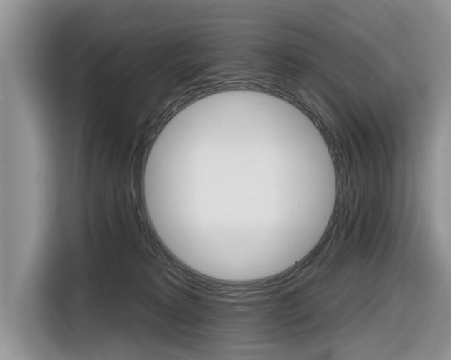 X0000116830229200912181100