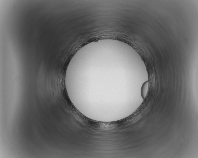 X0000116830234200912181100