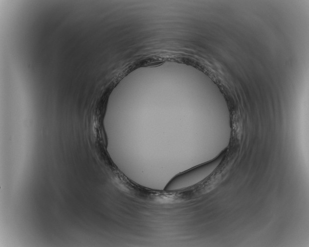 X0000116830235200912181100