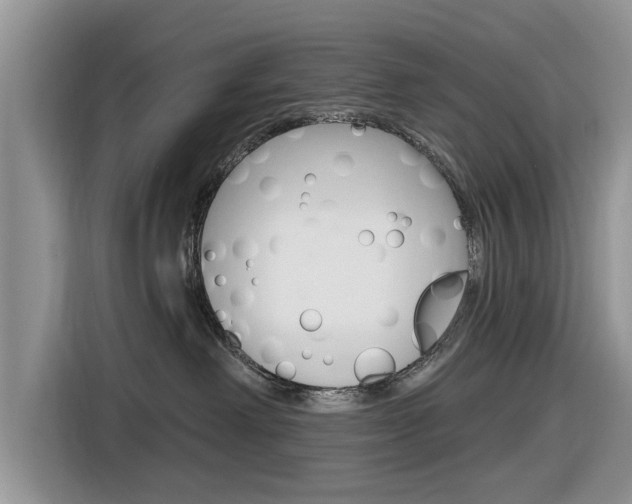 X0000116830238200912181100