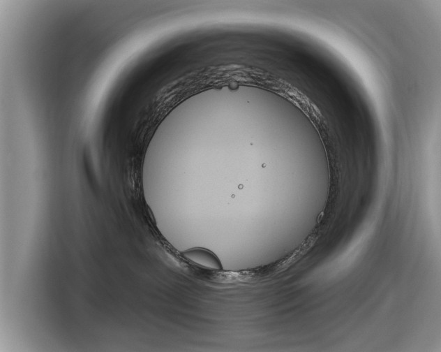 X0000116830239200912181100