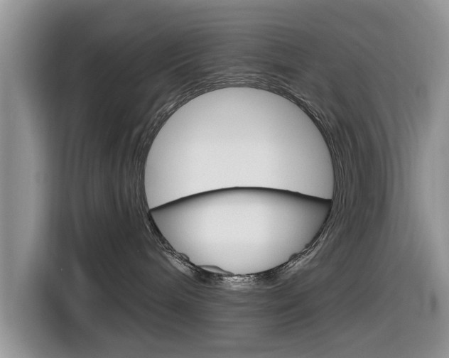 X0000116830240200912181100