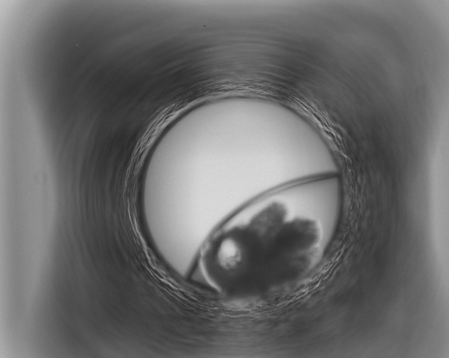 X0000116830241200912181100