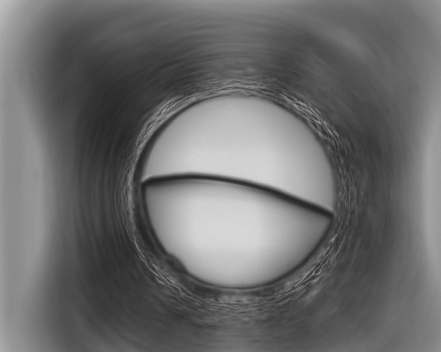 X0000116830242200912181100