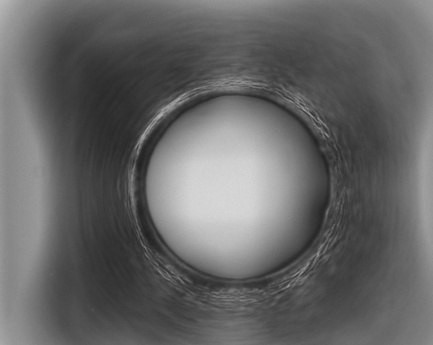 X0000116830244200912181100
