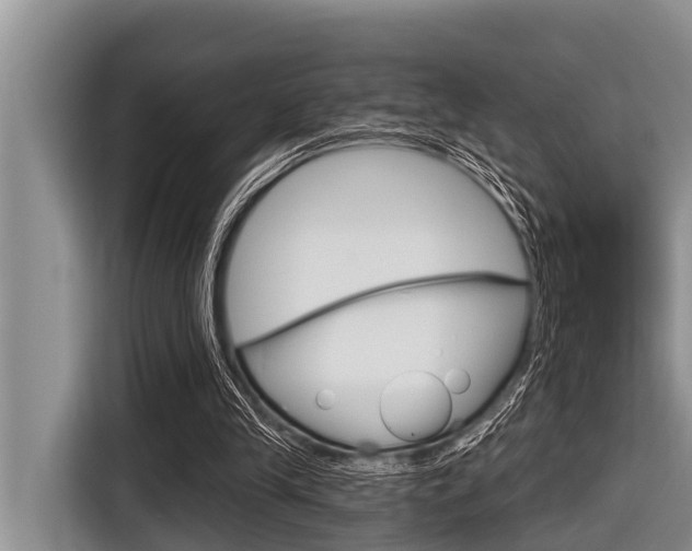 X0000116830245200912181100