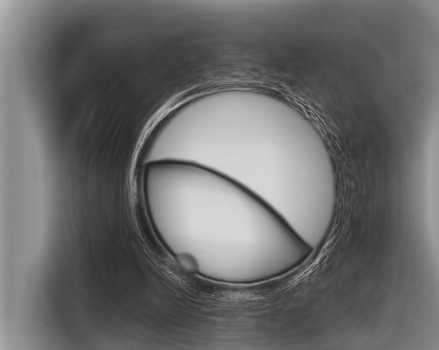 X0000116830246200912181100
