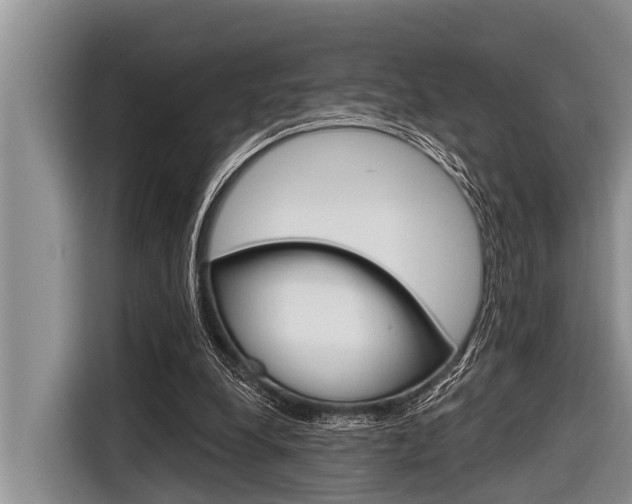 X0000116830248200912181100