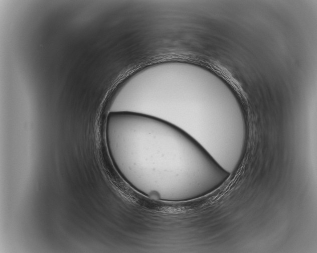 X0000116830250200912181100