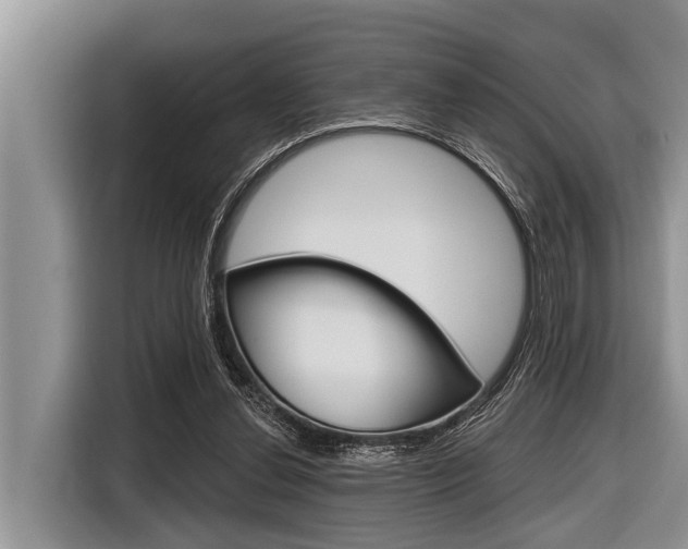 X0000116830252200912181100