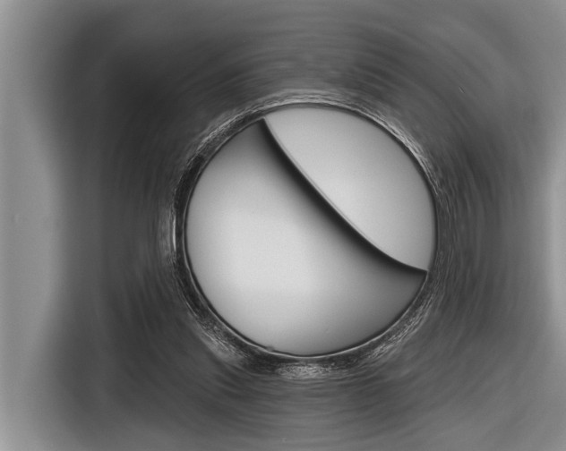 X0000116830253200912181100