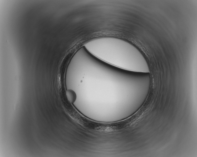 X0000116830254200912181100