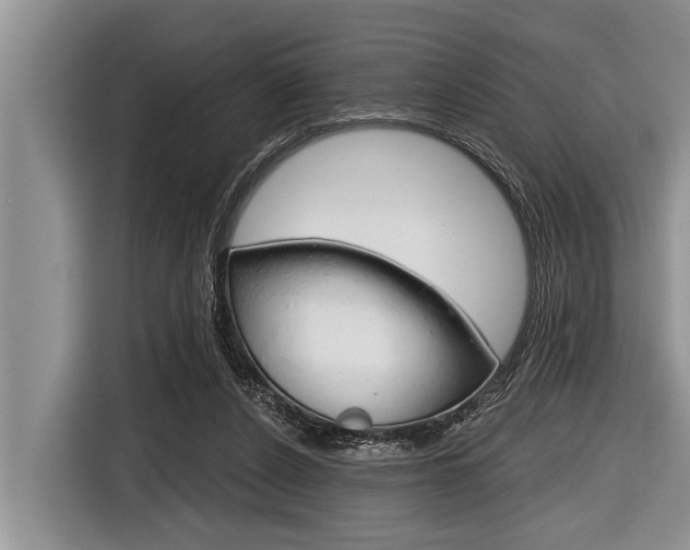 X0000116830256200912181100