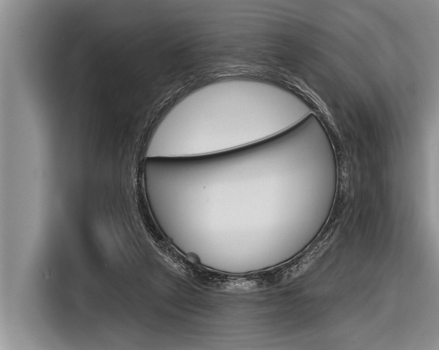 X0000116830257200912181100