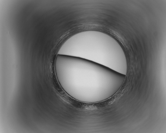 X0000116830258200912181100