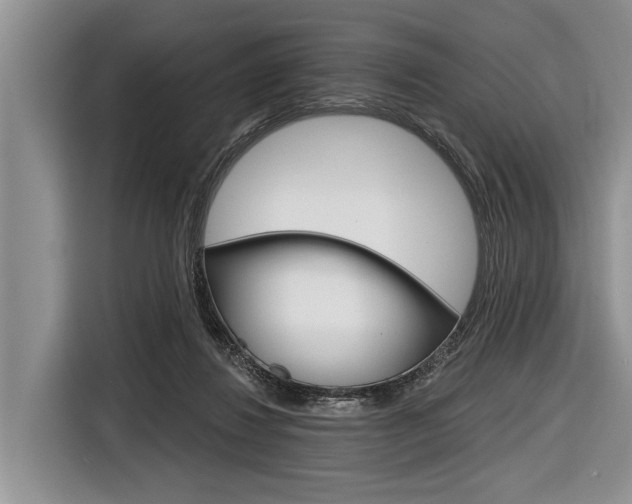 X0000116830260200912181100