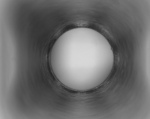 X0000116830263200912181100