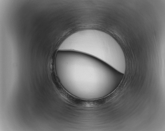 X0000116830264200912181100