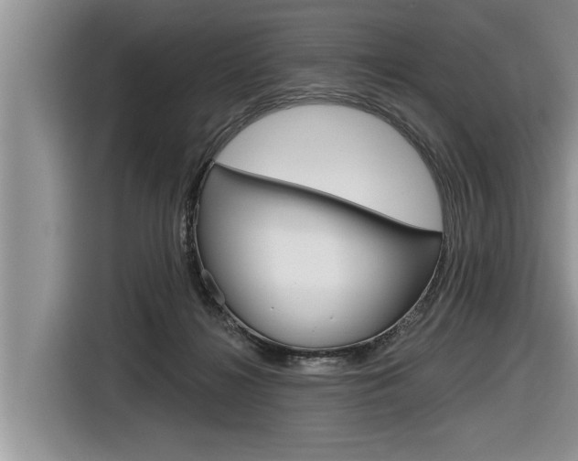 X0000116830268200912181100