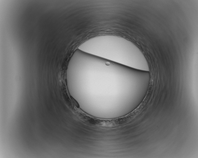 X0000116830272200912181100