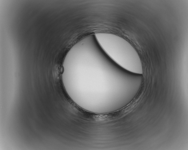 X0000116830273200912181100