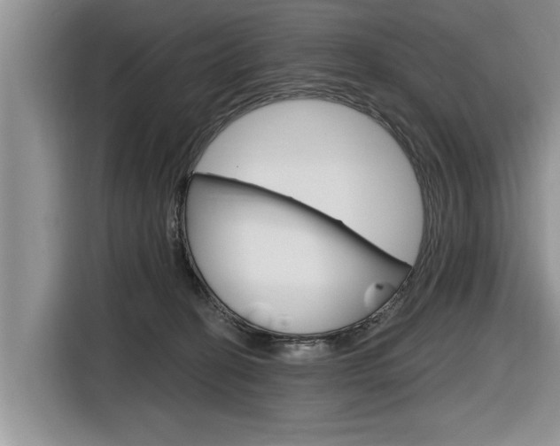 X0000116830274200912181100