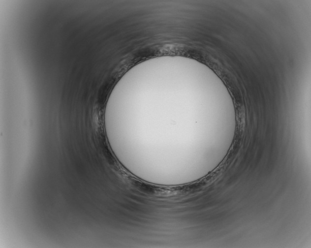 X0000116830276200912181100