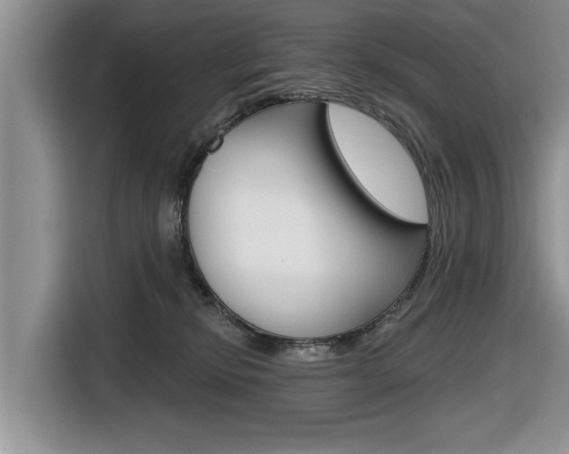 X0000116830278200912181100
