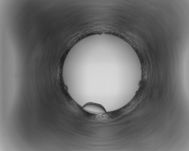 X0000116830279200912181100