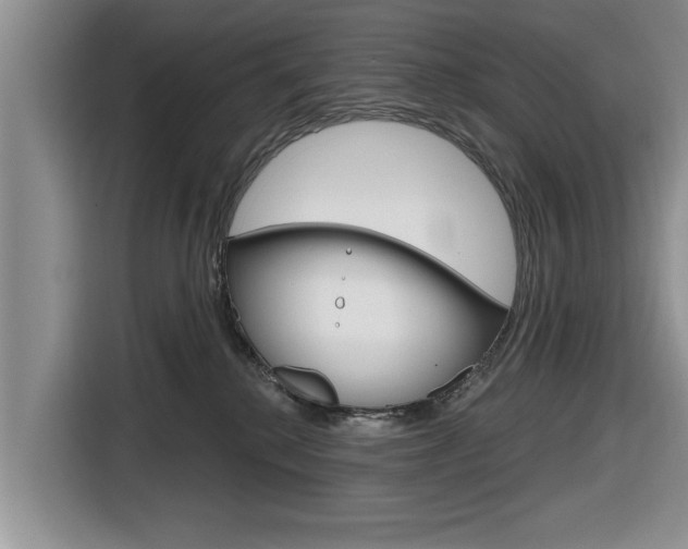 X0000116830280200912181100