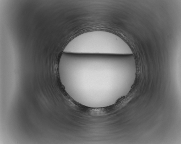 X0000116830281200912181100