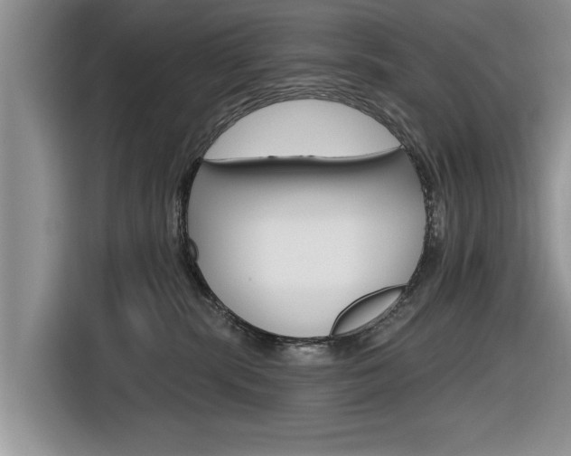 X0000116830283200912181100