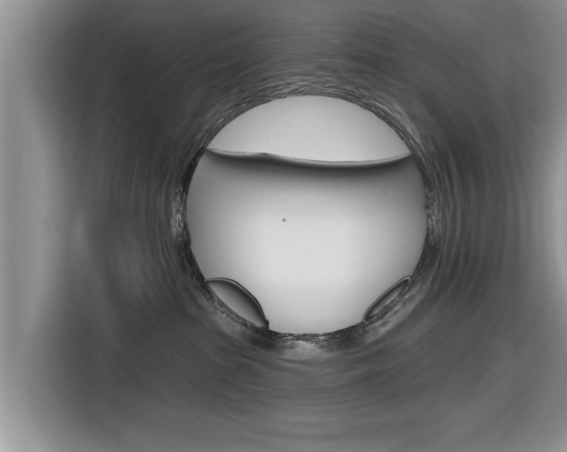 X0000116830285200912181100