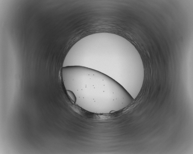 X0000116830286200912181100