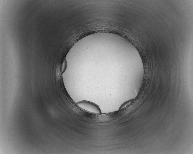 X0000116830287200912181100