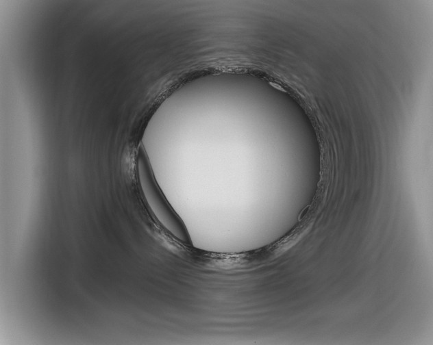 X0000116830288200912181100