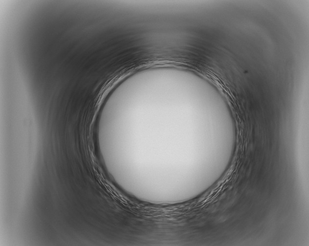 X0000116830289200912181100