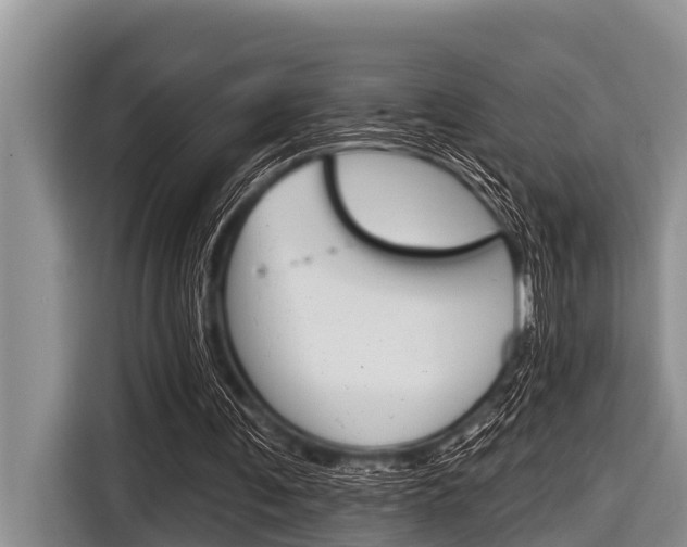 X0000116830291200912181100