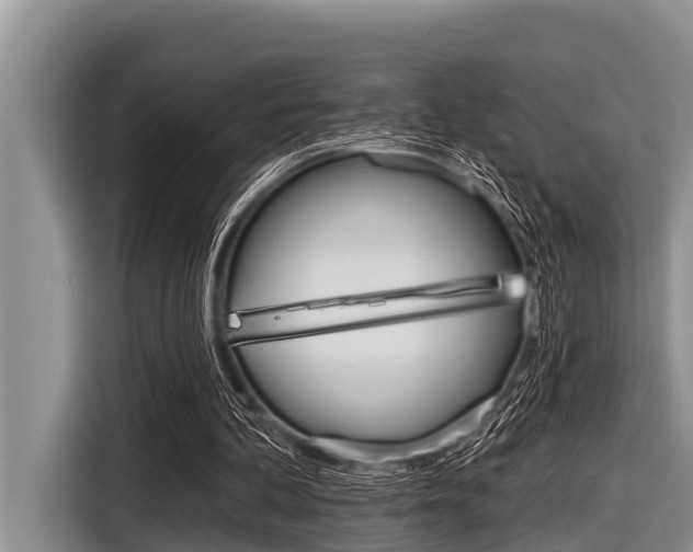 X0000116830292200912181100