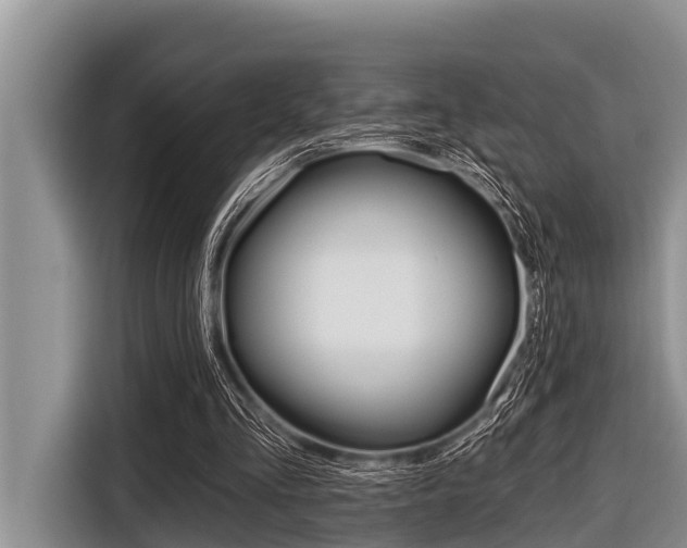 X0000116830293200912181100