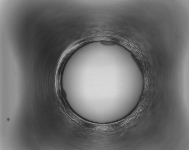 X0000116830294200912181100