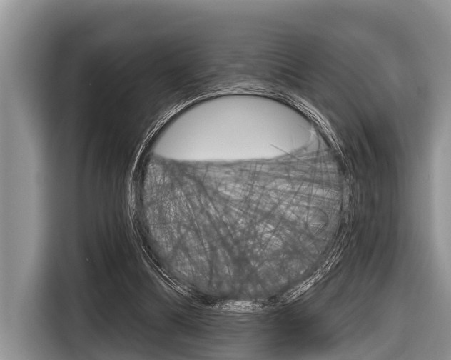 X0000116830298200912181100