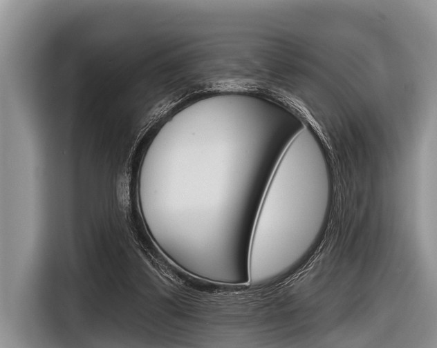 X0000116830299200912181100
