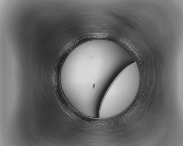 X0000116830303200912181059