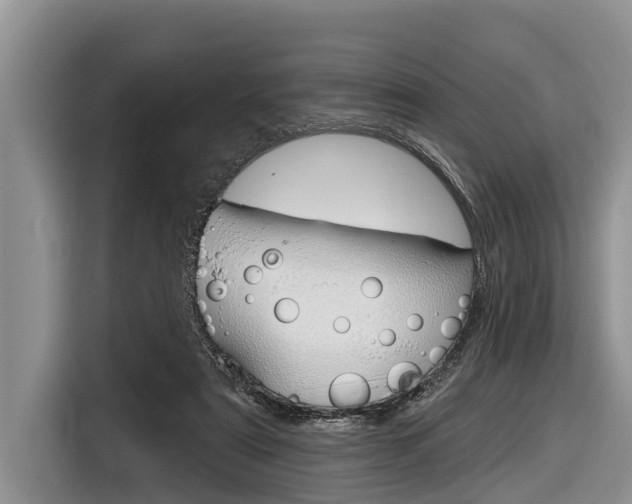 X0000116830307200912181059